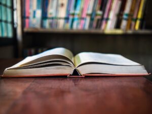 Shutterstock 2445740661 (1)