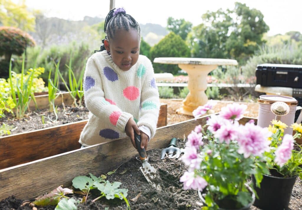 Shutterstock 2601859579 (1)